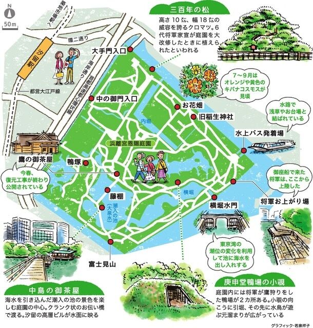 下道は、通称「海岸通り」