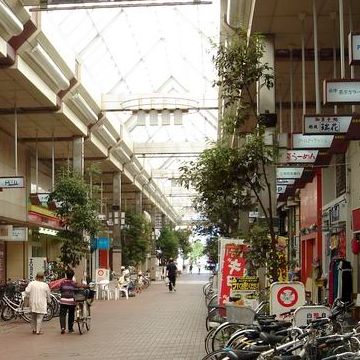 街路に植わってるのです