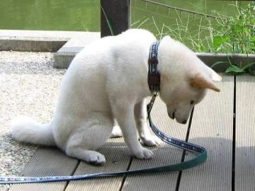 参ったな