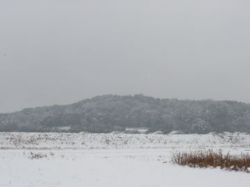 天の香具山も、真っ白に雪化粧してしまった