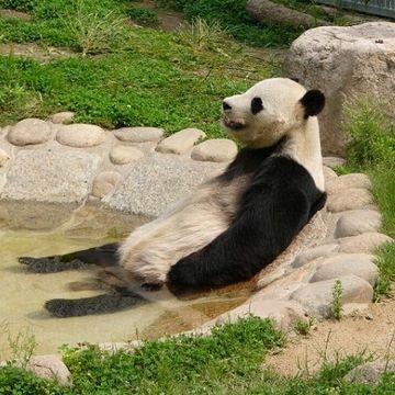 オヤジは、ヒマだった