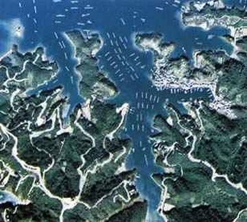 リアス式海岸(三重県度会郡南伊勢町付近)