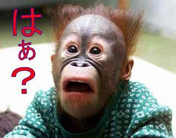 解けないと思います