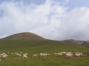 哺乳類が栄え、豊かな草原が地球を覆ってました