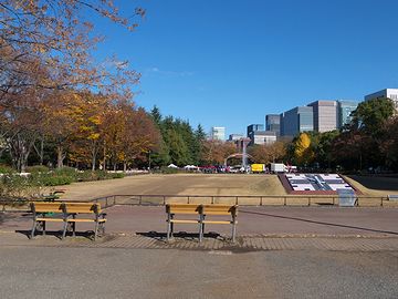 太平洋側の冬は、ほんとにうらやましい