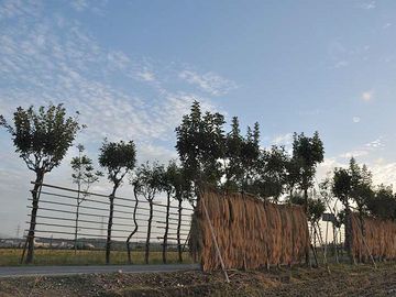 新潟市秋葉区満願寺