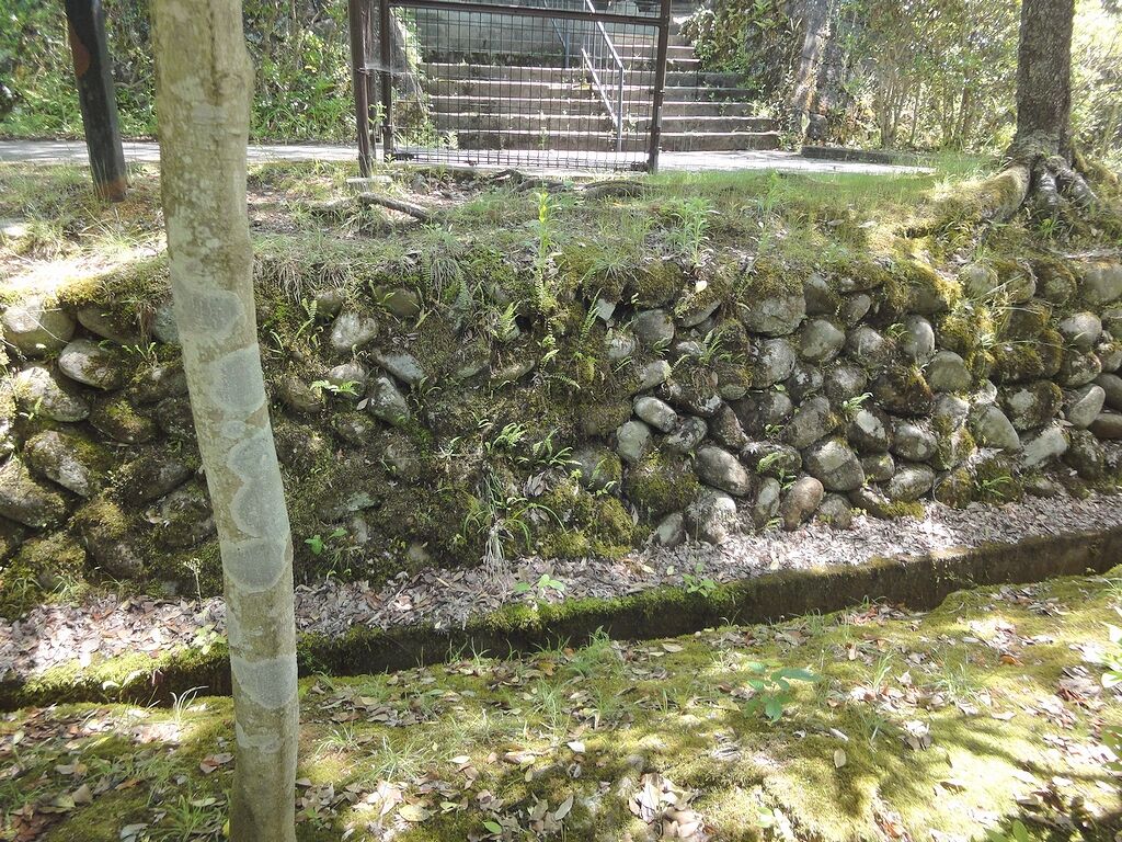 ここにも石垣がある