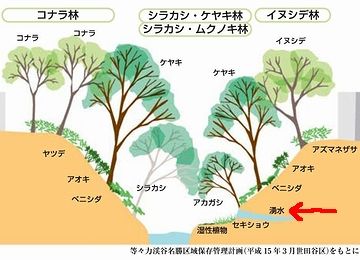 湧水が削って出来た渓谷