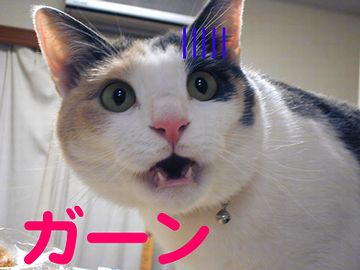 “がーん”と言うと思うけど