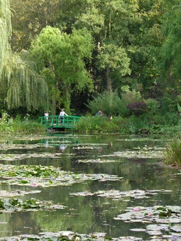 「モネの庭」睡蓮の池