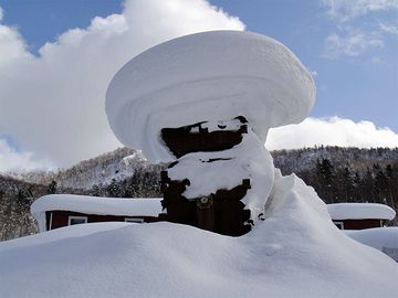 新潟の雪は重いんだよ