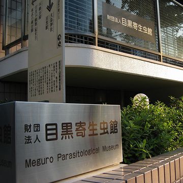 その『目黒寄生虫館』に、何があるんだ?