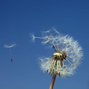 この街での感情の記憶が、わたしから離れてしまったと云うことでしょうか