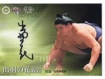 大相撲カードだそうです。いろんなものがあるものです。