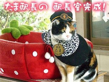 それで、ネコを駅長にしたりするのか