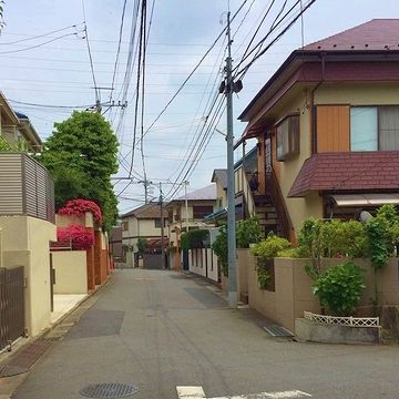 最近は、犬や猫も見かけなくなりました