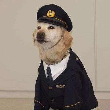 困ってしまうのは、犬のおまわりさんじゃ