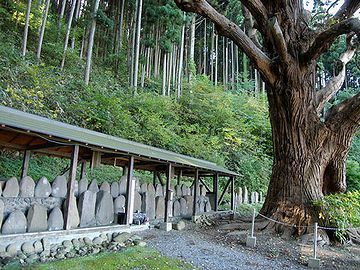 この杉のかたわらに、板碑(いたび)が並べてあって……