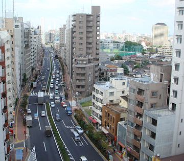 春日通り。こういう景色が、延々と続きます。