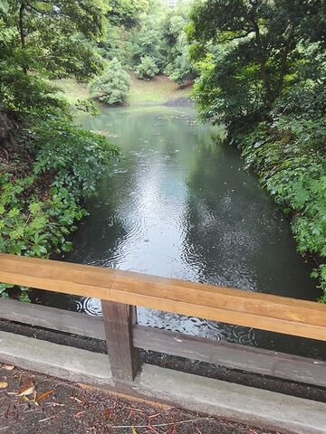 この水路を流れるのが海水とは