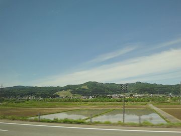 ここらは、魚沼産コシヒカリの産地です