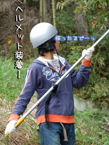 ヘルメット、被ってたの