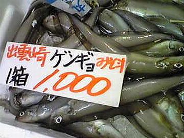 幻の魚と書いて“幻魚(げんぎょ)”ってのがいるんだよ