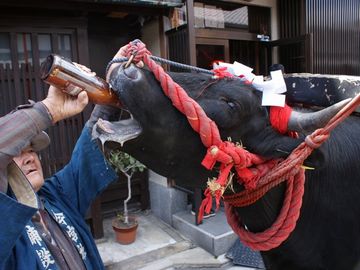 ビールを飲ませるとか言うわよね