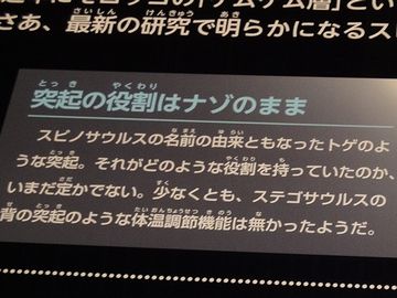 突起の役割は、謎のようです