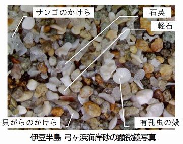 これは砂粒よ