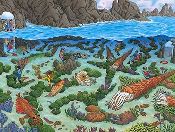 すべての生命を産んだ母なる海