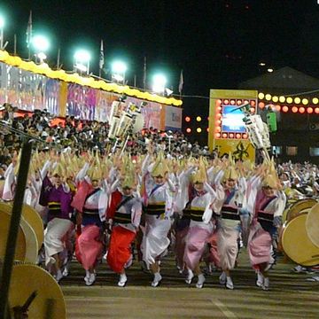 阿波踊りを見る!