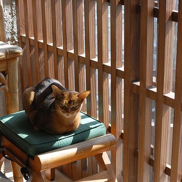 サンルームって、いつ使うわけ?