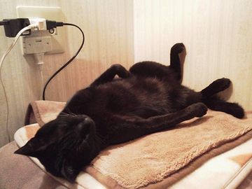 充電中