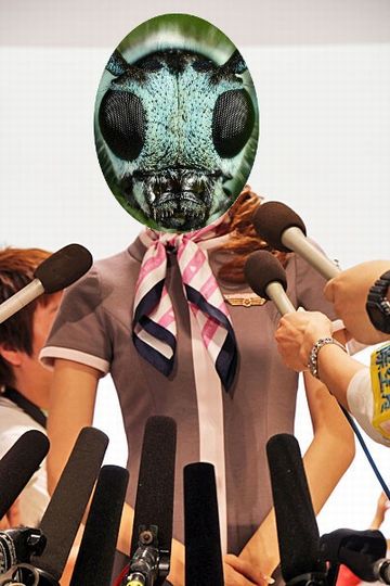 聞いてみたことないけど