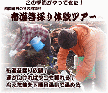 海岸の岩に張りついておる
