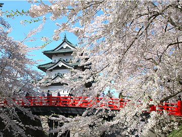 弘前城(弘前公園)の桜