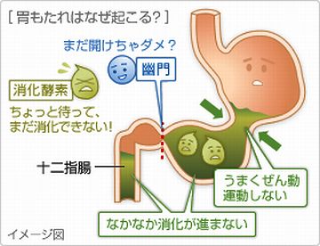 食べ物が消化されないままで溜まってるのが、はっきりわかった