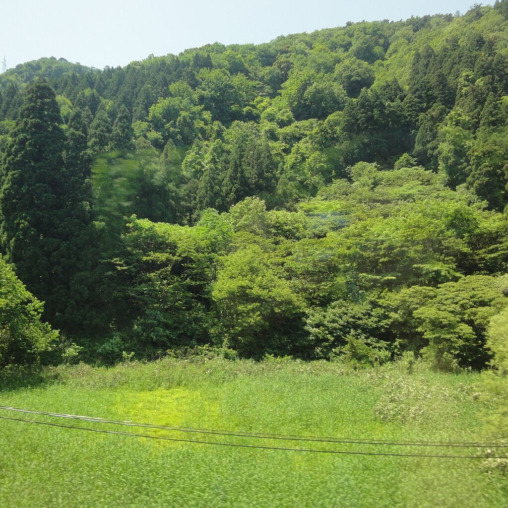 間が、また自然に飲みこまれていく