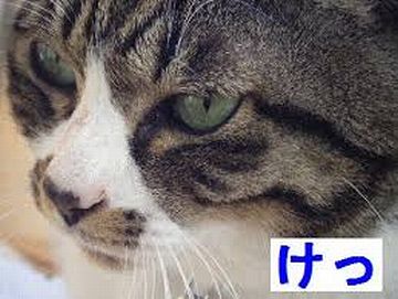 けっ