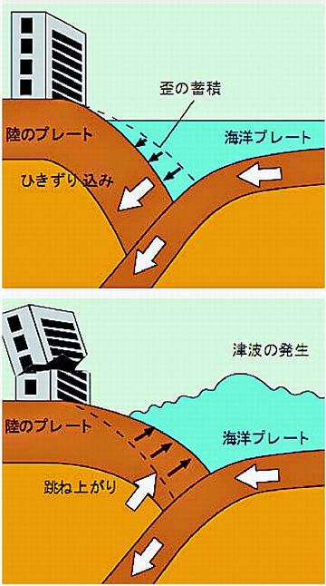 プレートが跳ねあがるとき、海水が持ちあげられるでしょ