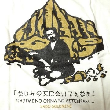 土産物のTシャツとして売ってました。世界遺産を目指すには、マズくね?