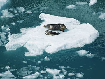 つまり、氷が溶けて海水面が高くなってた