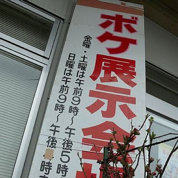 新潟県では毎春、日本ボケ協会主催の『日本ボケ展』が開催されます