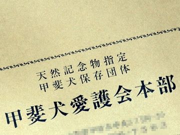 甲斐犬は、昭和9(1934)年、天然記念物に指定されてます