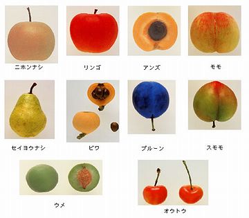 すべて、バラ科です
