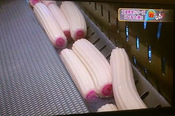 なんと! ナルトは、このような形状をしてたのです(知らなんだ)