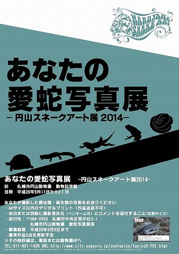 愛蛇(かなへび)