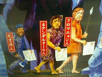 理系文系が分かれる以前の問題ですね