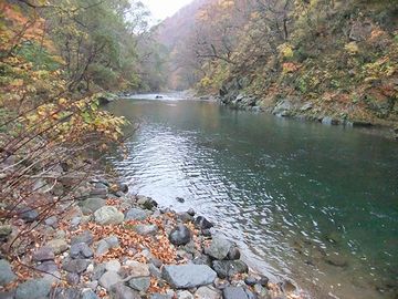 この滝の上流が、赤石川渓流なんです